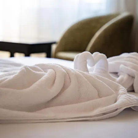 Complex Vraja Marii Hotel