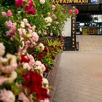 Complex Vraja Marii Hotel 3*