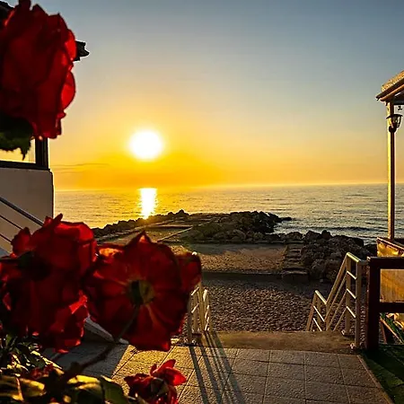 Hotel Complex Vraja Marii 3*
